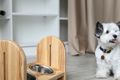 Переваги дерев&rsquo;яних підставок GRAF Petshop перед пластиковими та металевими фото