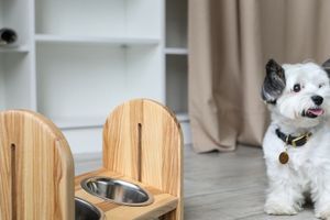 Переваги дерев&rsquo;яних підставок GRAF Petshop перед пластиковими та металевими фото